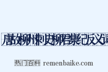 唐故柳州刺史柳君集纪反义词是什么意思的图片